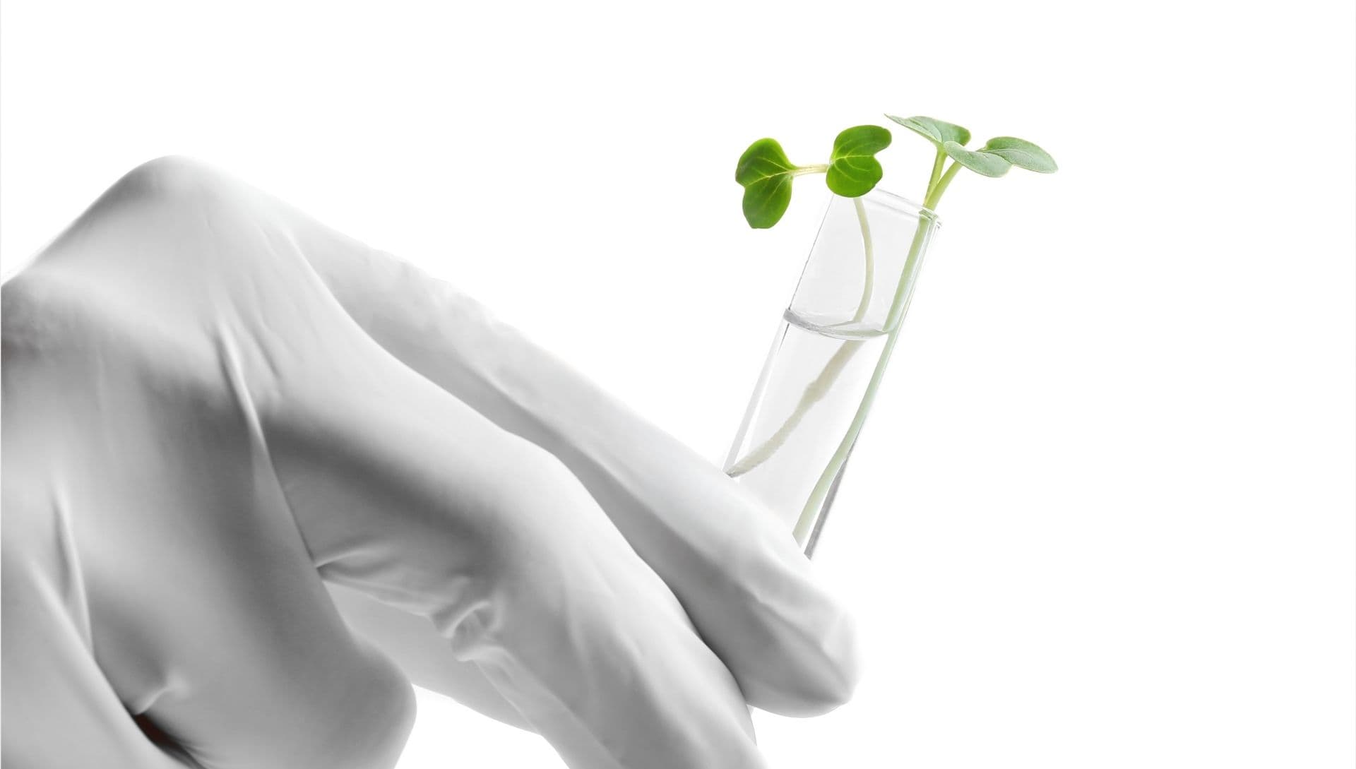 Agri & Food Innovation