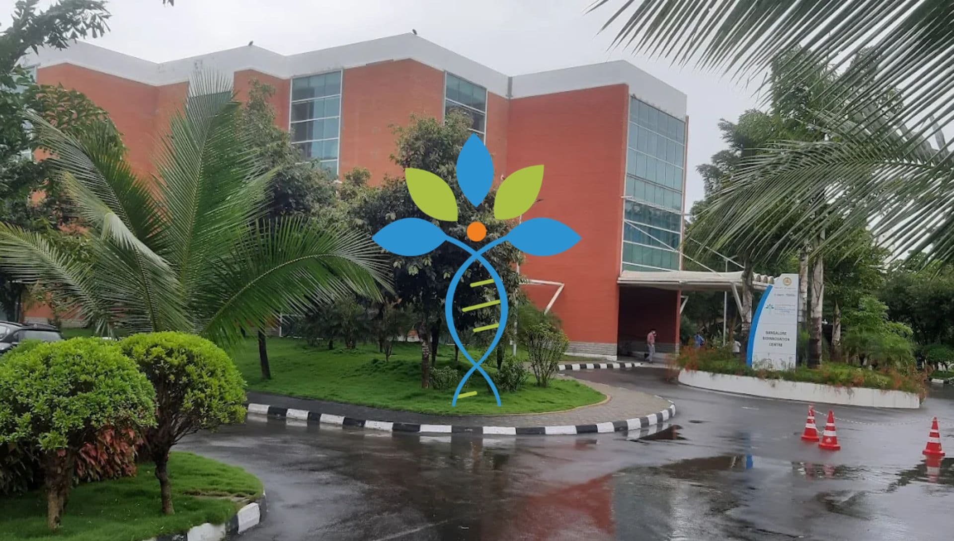 Online Mentoring Session: Investor-Ready Pitch Deck